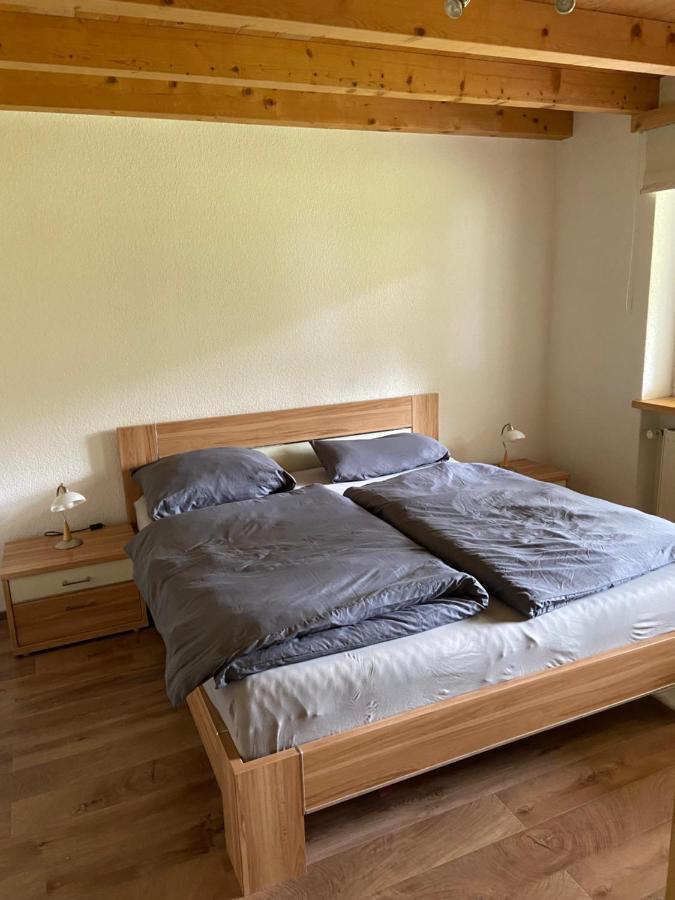 Ferienwohnung Im Herzen Graubuendens Surava Экстерьер фото